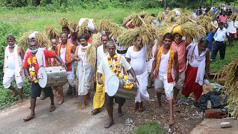 महामाया मंदिरात भाताच्या कणसाची विधीवत पूजा करताना