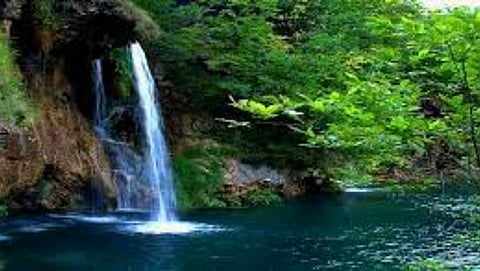 Harvalem Waterfalls: हरवळे धबधबा ठरतोय ‘कर्दनकाळ’