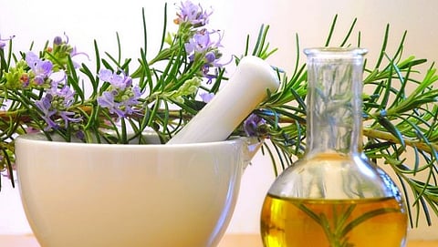 Tremendous benefits  Rosemary Oil  for hair growth