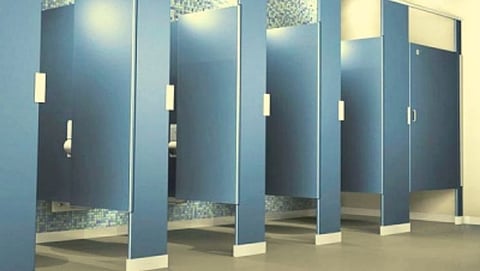 शौचालयाचे गेट