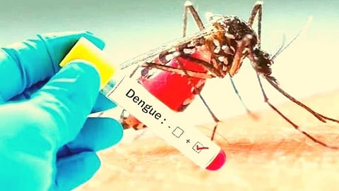 Dengue fever
