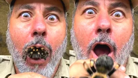 Spider inside Man’s Mouth