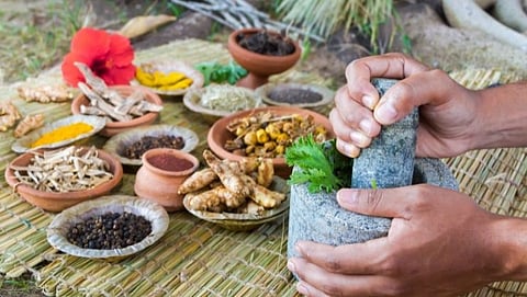 These ayurvedic herbs keep the digestive system healthy