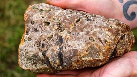 Whale Ambergris