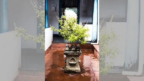 चराचरात देवत्व पाहणारी संस्कृती