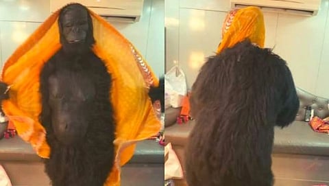 This famous actress became a gorilla and did such a dance on the song Choli Ke Peeche
