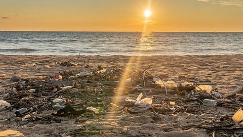 जनांचा ओघ वाढला...