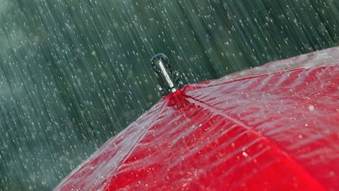 भारतीय हवामान विभागाने (IMD) गोव्यात (Goa) 'येलो अॅलर्ट' चा इशारा दिला आहे.