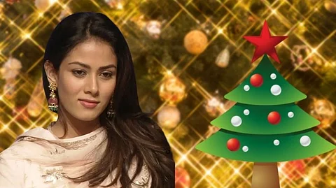 Mira Rajputs 4 year old Christmas tree has disappeared