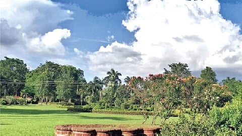 साळावलीचे बोटॅनिकल गार्डन बनले आकर्षणाचे केंद्र