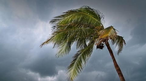 Goa Rain Updates