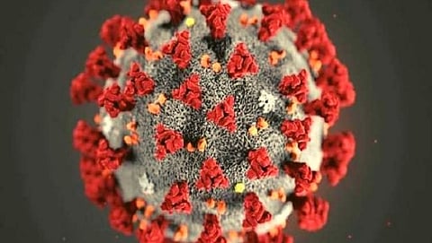 Our vaccine may be ineffective against Omicron, The head of the task force gave this advice