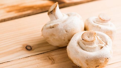 डिप्रेशनवर गुणकारी ठरते मशरूमचे सेवन