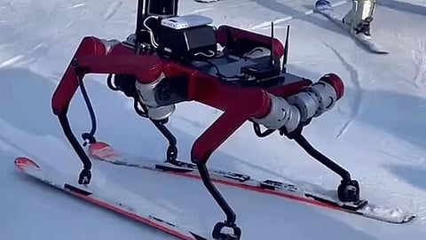 Latest China Robot