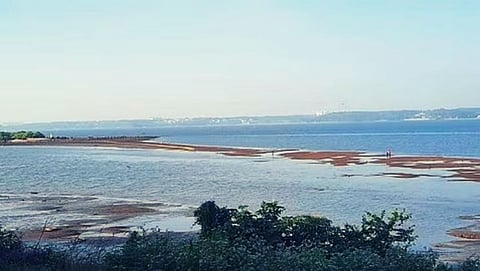 Goa: वेरेग बेट आणि जैवसमृद्धी