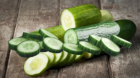 Cucumber Eating Facts