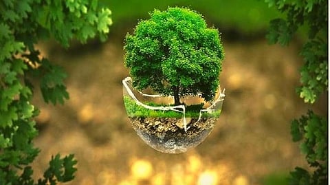 Goa Biodiversity Conservation