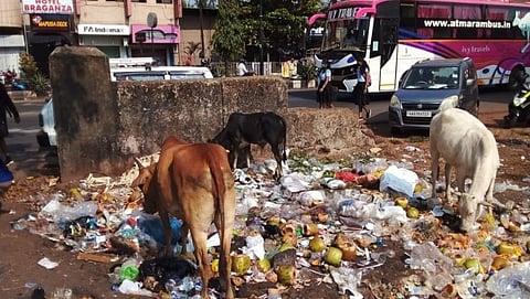 Mapusa bus stand