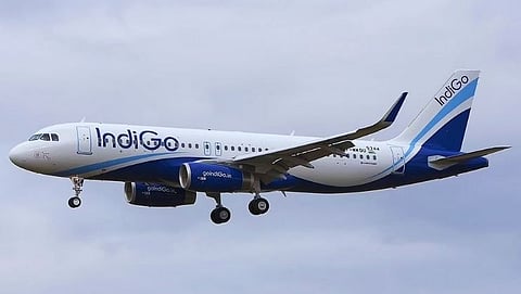 IndiGo