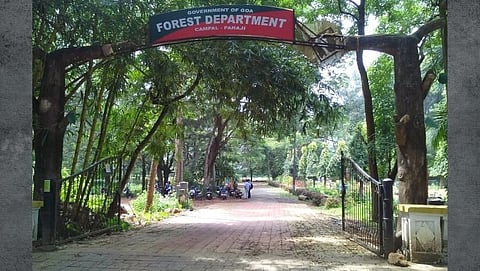 Forest Department