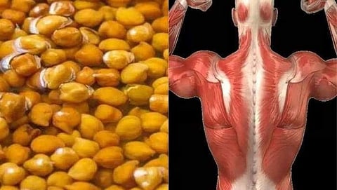 Protein rich food
