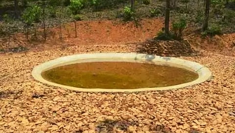 waterholes
