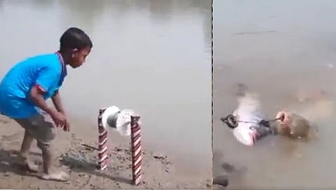 beat child made such a jugaad to catch fish anand mahindra tweeted and wrote a wonderful thing