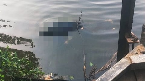 Deadbody Foung in Near Surla Ferry