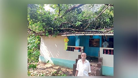 Trees fell in nine places