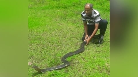 Goa Snake Friend Pradip Gavandalkar