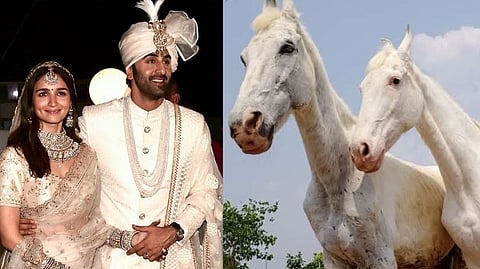 Ranbir Alia Wedding Gift