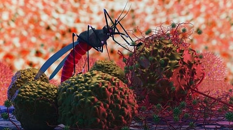 make malaria free state