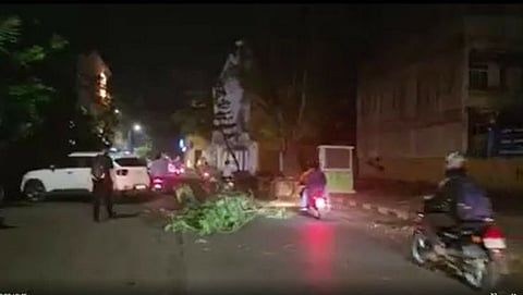 Strong winds blow in Panaji, leaves fly on building(Edited)Restore original