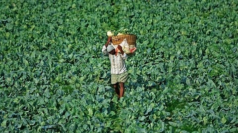 Pradhan Mantri Kisan Samman Nidhi