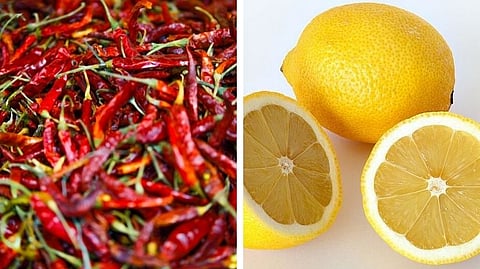 Goa Chilies and lemons are still rising