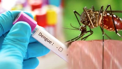Dengue