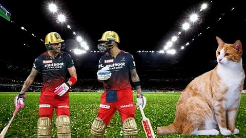 IPL 2022