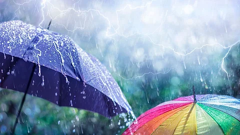 Rainy Season Tips