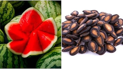 watermelon seeds benefits from reduce blood sugar lever to weight loss diet