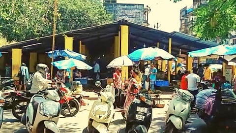 Vasco Fish Market