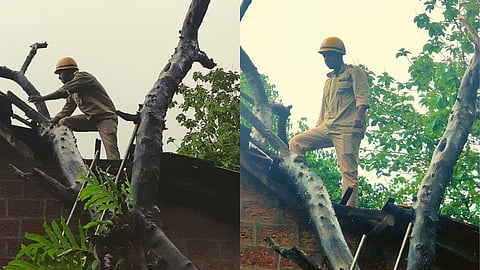 Falling of trees due to rains in goa