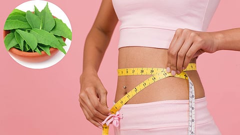 Herbs for Weightloss: