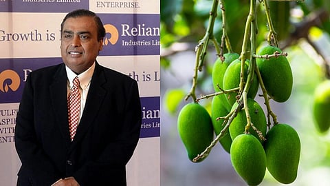 RIL Mango, Mukesh Ambani