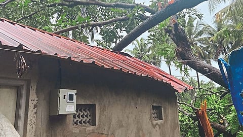 Tree Collapsed on house in Siolim