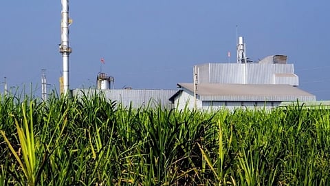 Sanjivini Sugar Factory