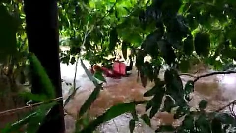 Kushavati River Flood | Goa Rain