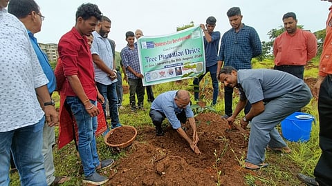 Tree Plantation