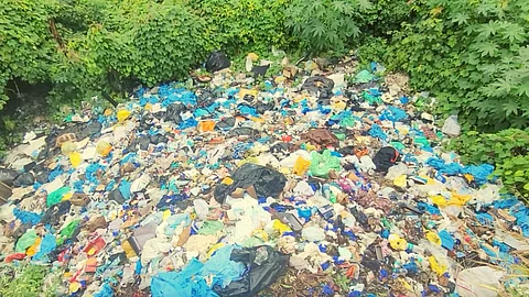 GMC Medical Waste Issue