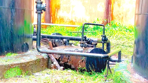 Goa Dairy Blast