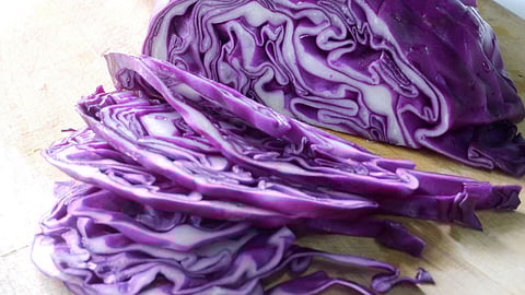Purple Cabbage
